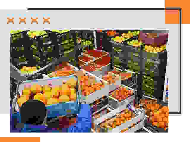 Перевозка скоропортящихся продуктов в Лесозаводске